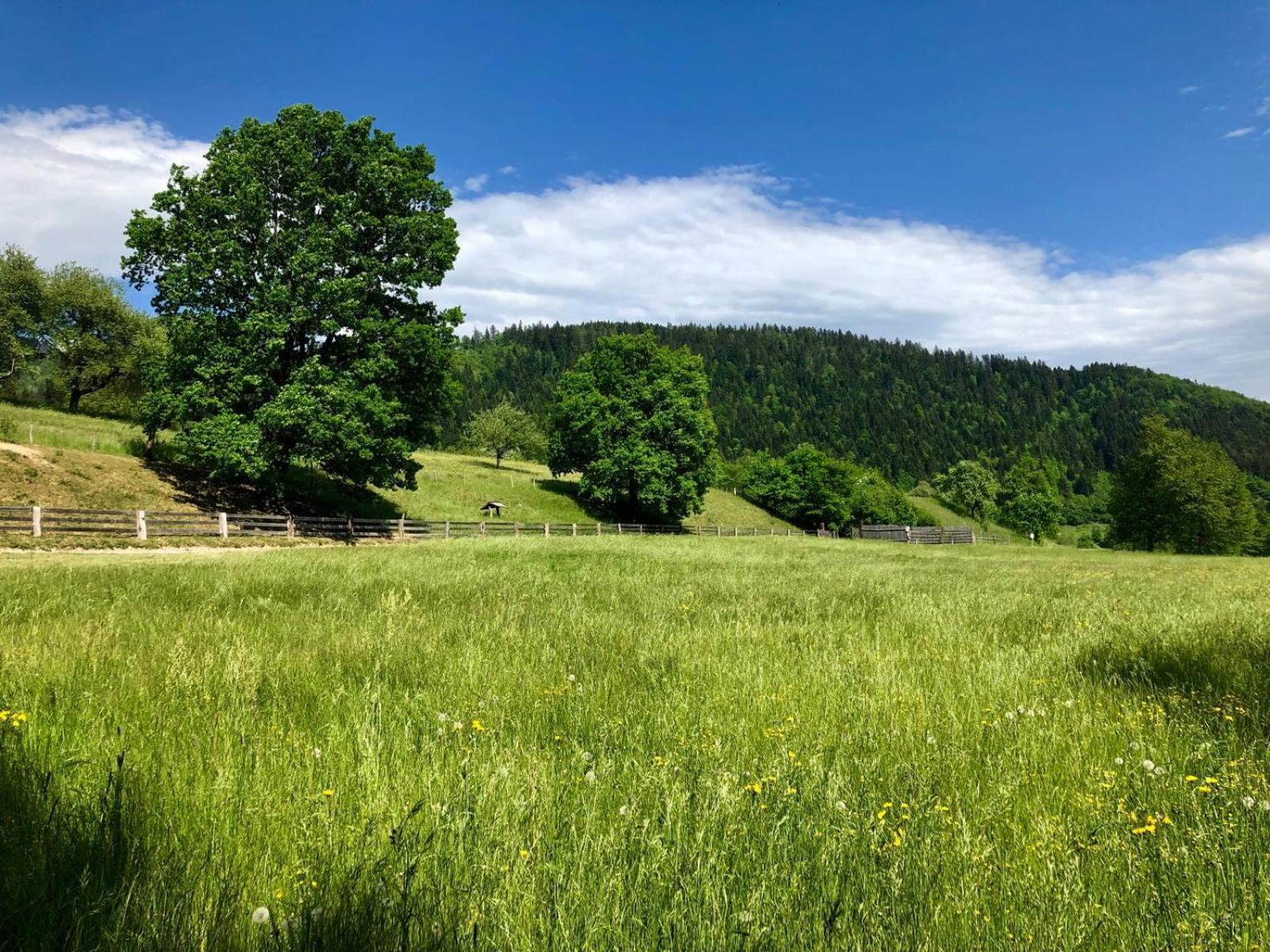 Ljubno Glamping Savinja酒店 外观 照片