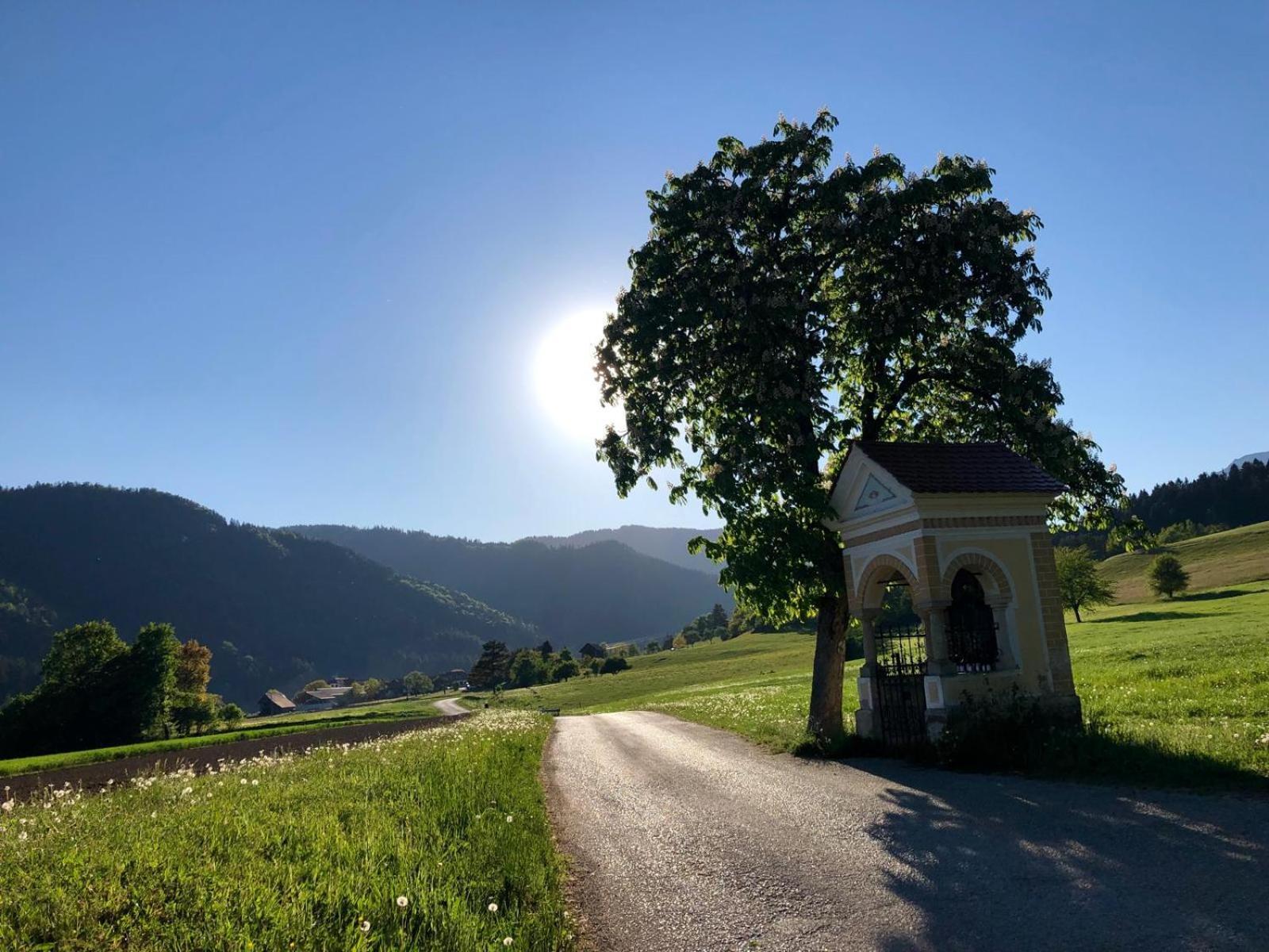 Ljubno Glamping Savinja酒店 外观 照片