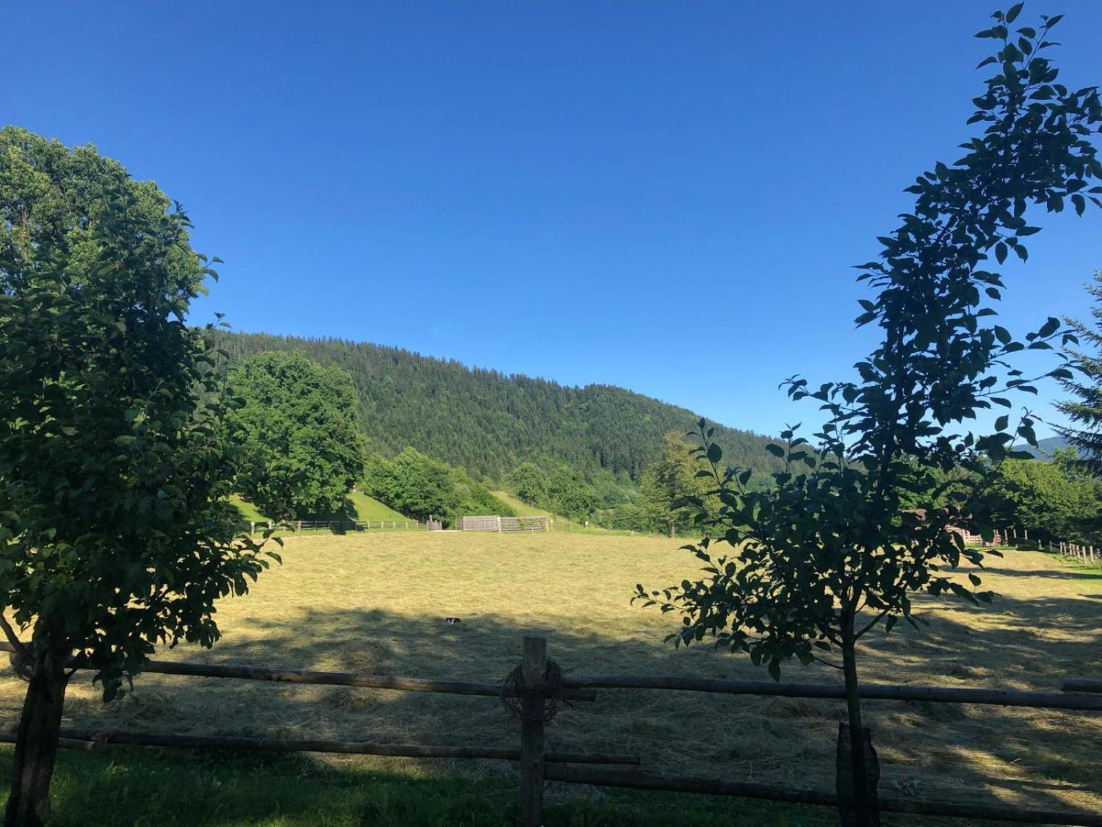 Ljubno Glamping Savinja酒店 外观 照片