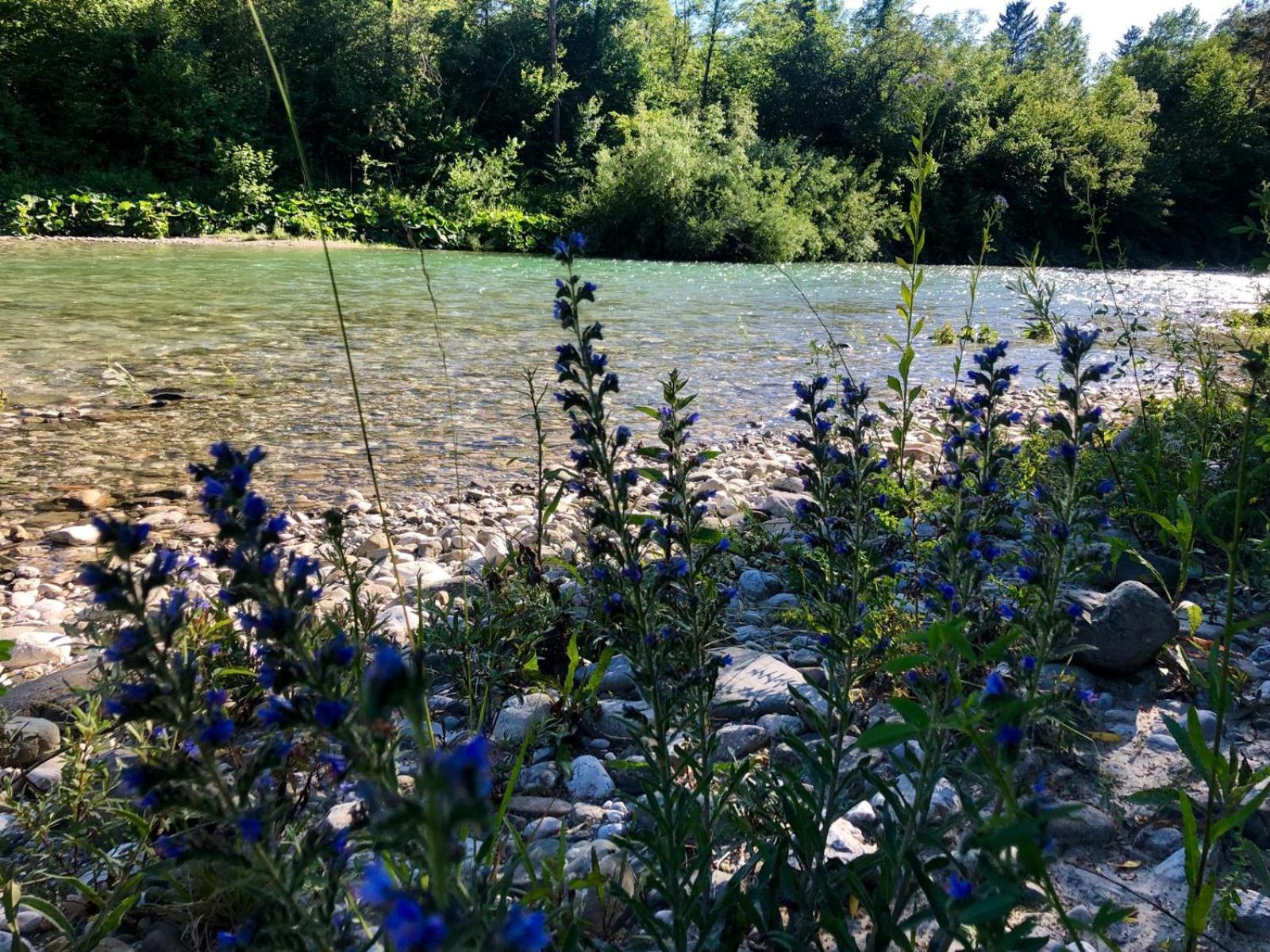 Ljubno Glamping Savinja酒店 外观 照片